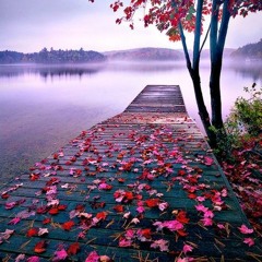 Lord, Thank You For A New Day To Take You As Lord