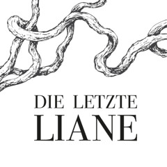 Seitter² - Schacht Reservat - die letzte Liane Festival (26.07.2019)