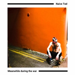 Naive Ted // DEVOlution