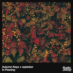 Autumn Keys - In Passing (feat. Septober)