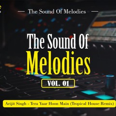 Arijit Singh - Tera Yaar Hoon Main (Tropical House Remix)