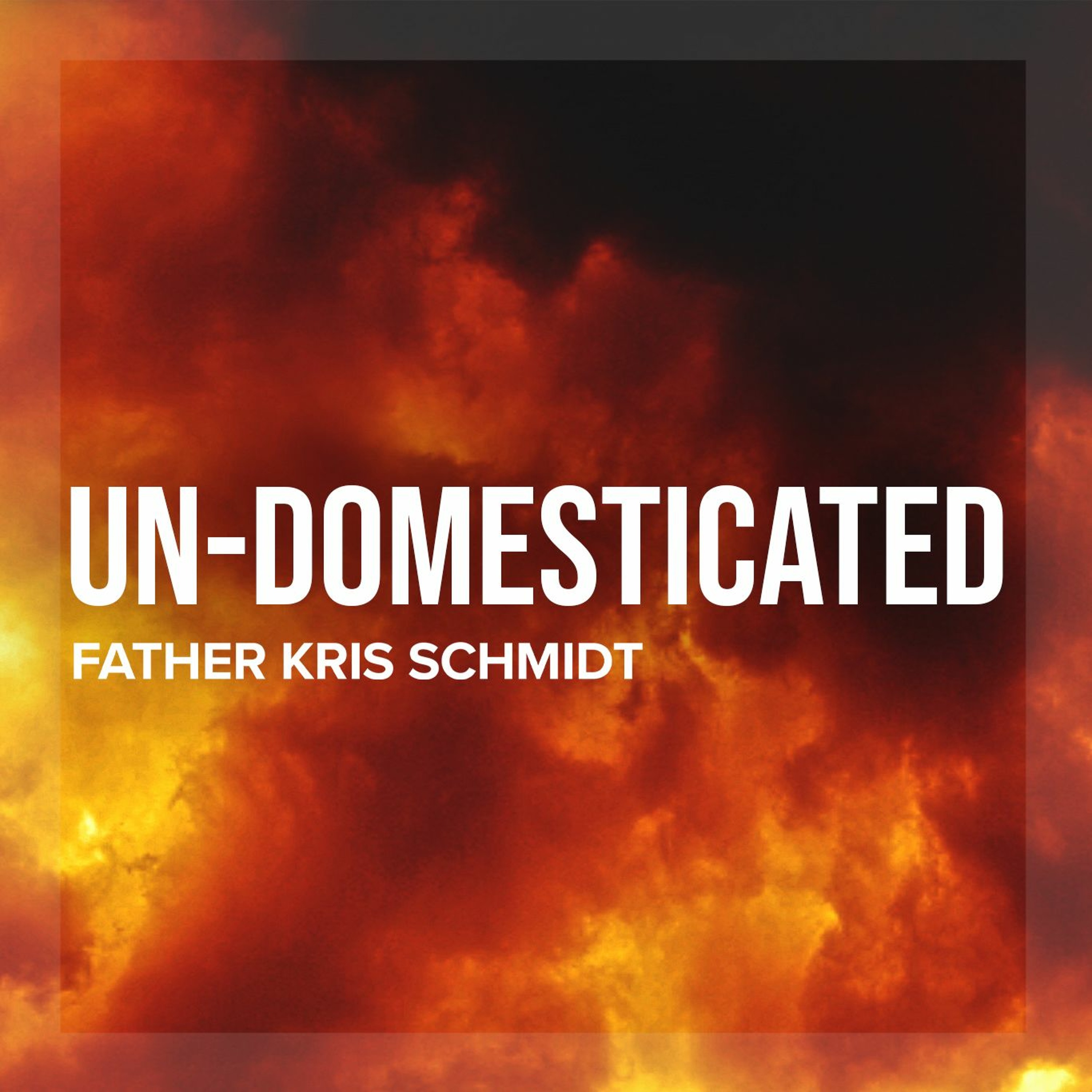 Fr. Kris Schmidt Homilies