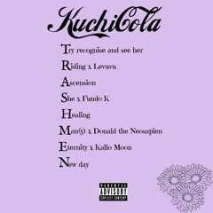 Man(y) feat. Donald the Neosapien (prod.emani beats)