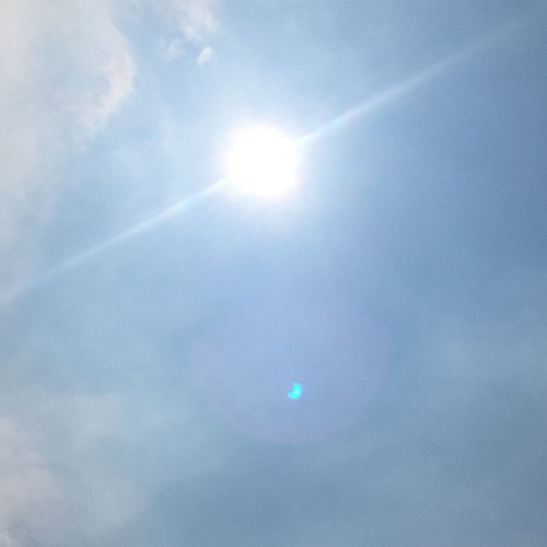 Cash Wednesday - Diving Lessons