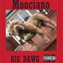 Big Dawg