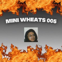 MINI WHEATS 005