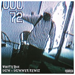 Dum & Dummer Remix