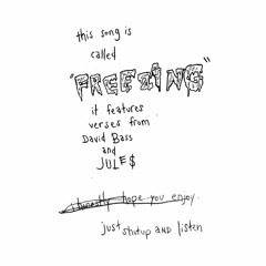 Freezing - feat. David Bass & JULE$