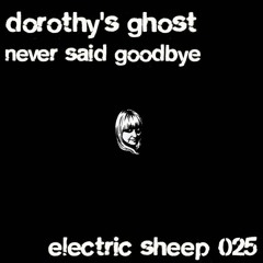 NEVER SAID GOODBYE