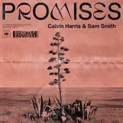 Wheats - Kassia (MJ Shiells 'Promises' Edit)[FULL VERSION ON HYPPEDIT]