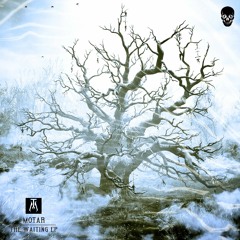 MOTAR - ROOTS