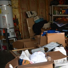 Froglantis (Good Nitrogen Cover)