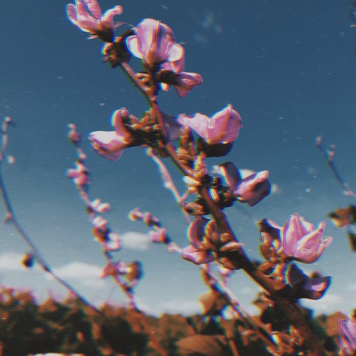 Wont Change (Feat. Young Orange)