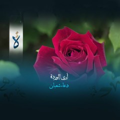 منشورات| أرى الوردة - دعاء شعبان