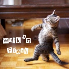 Walk'n Fresh