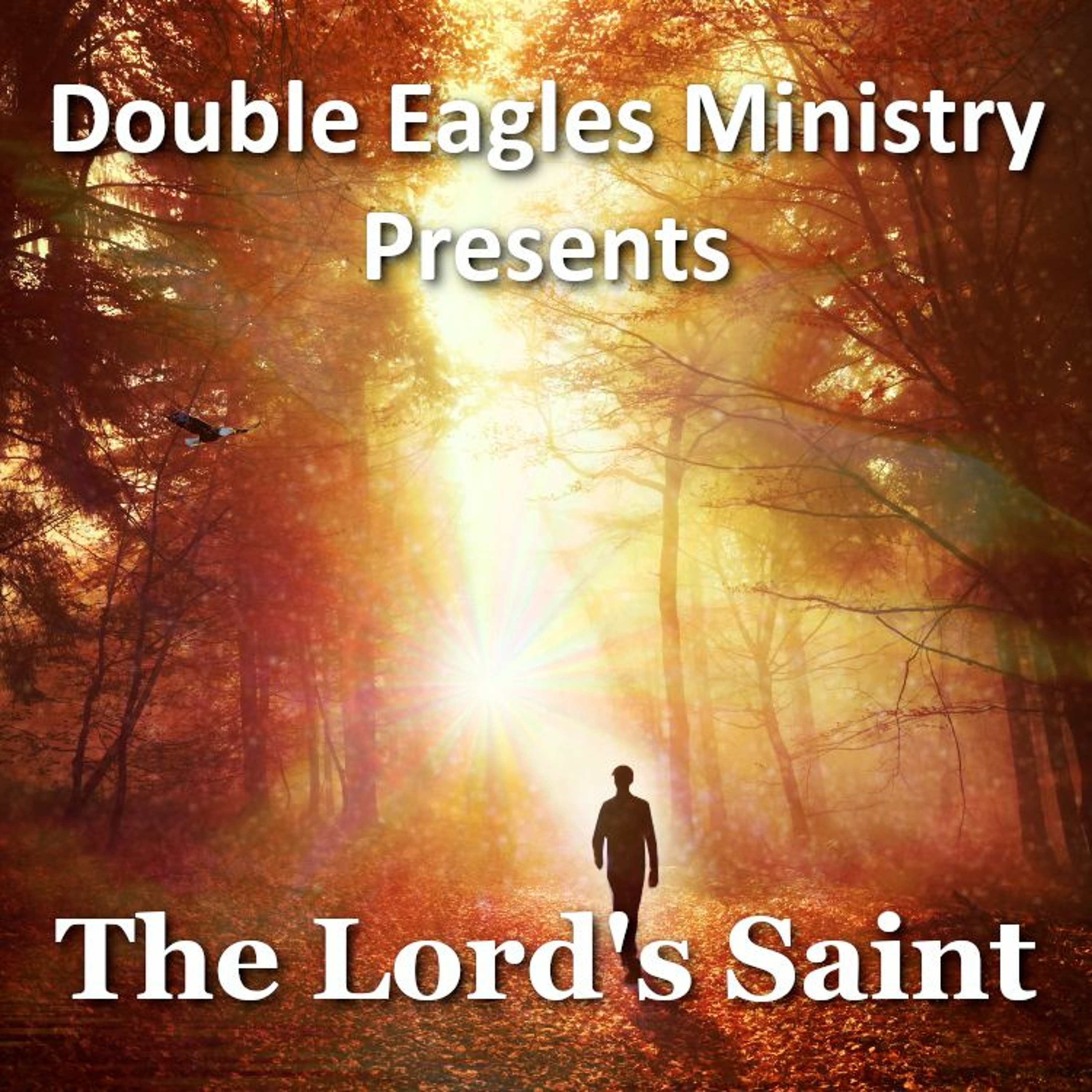 The Lord's Saint episode artwork