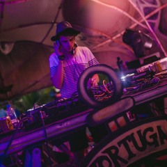 Stereo Karma @ Universo Paralello Festival #13 (Free Download)