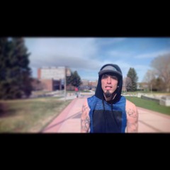 Stein “Conceited”