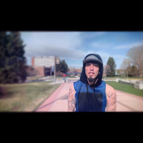 Stein “Conceited”