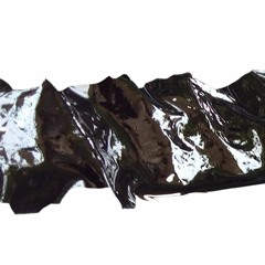 Mycorrhizal Relationship