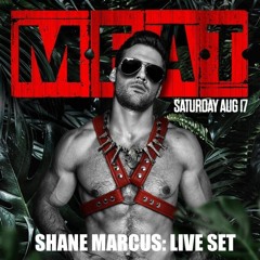 MEAT NYC: LIVE SET RECORDING- 8/17