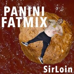 Panini Fatmix