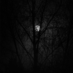 Ro Ro ka arza Guzarda hai dill haye mera dill ❤