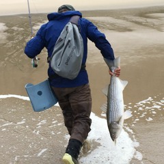 Steve Adachi : Fly Fishing the Surf & the development of the Clouser