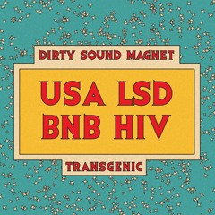 Dirty Sound Magnet - USA LSD BNB HIV