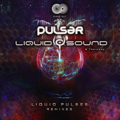 Pulsar & Liquid Sound - Teleport (Ektoside Remix)