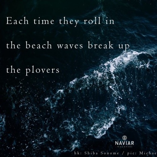 haiku #293: Each time they roll in / the beach waves break up / the plovers