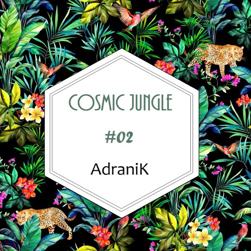 AdraniK - Cosmic Jungle 02