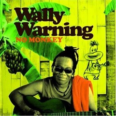 NO MONKEY (STP RMX) - WALLY WARNING