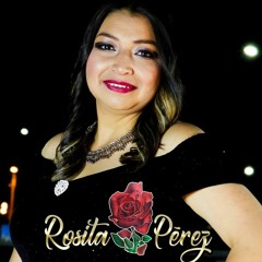 Rosita Perez's Instagram, Twitter & Facebook on IDCrawl