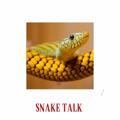 Snake Talk (Prod. By ActiveByNight)