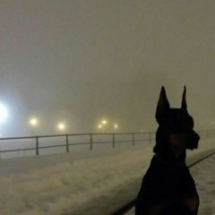 MIDIBlack - Скорость