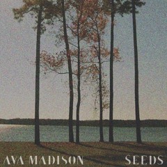 Seeds