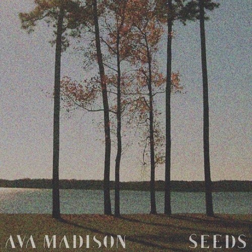 Seeds