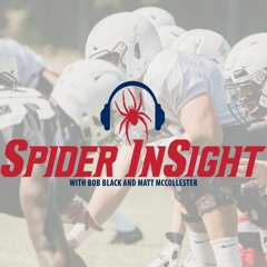 SpiderInSight.4.82019