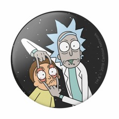 Rick and morty experience