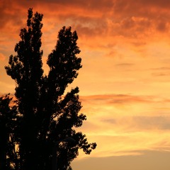 Ordinary Love - Cover