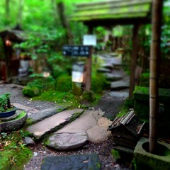 Japan Field Recordings 2019