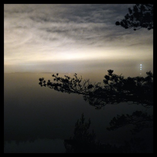 You're Always Growing