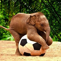 u r such a fuckin gol