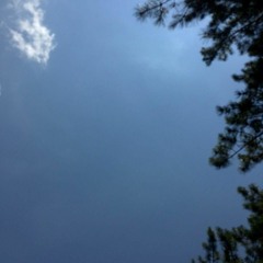 Speech for Simon Wahl