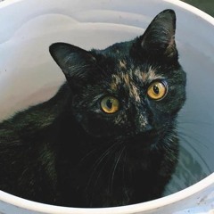 Love Me Too - Original Song