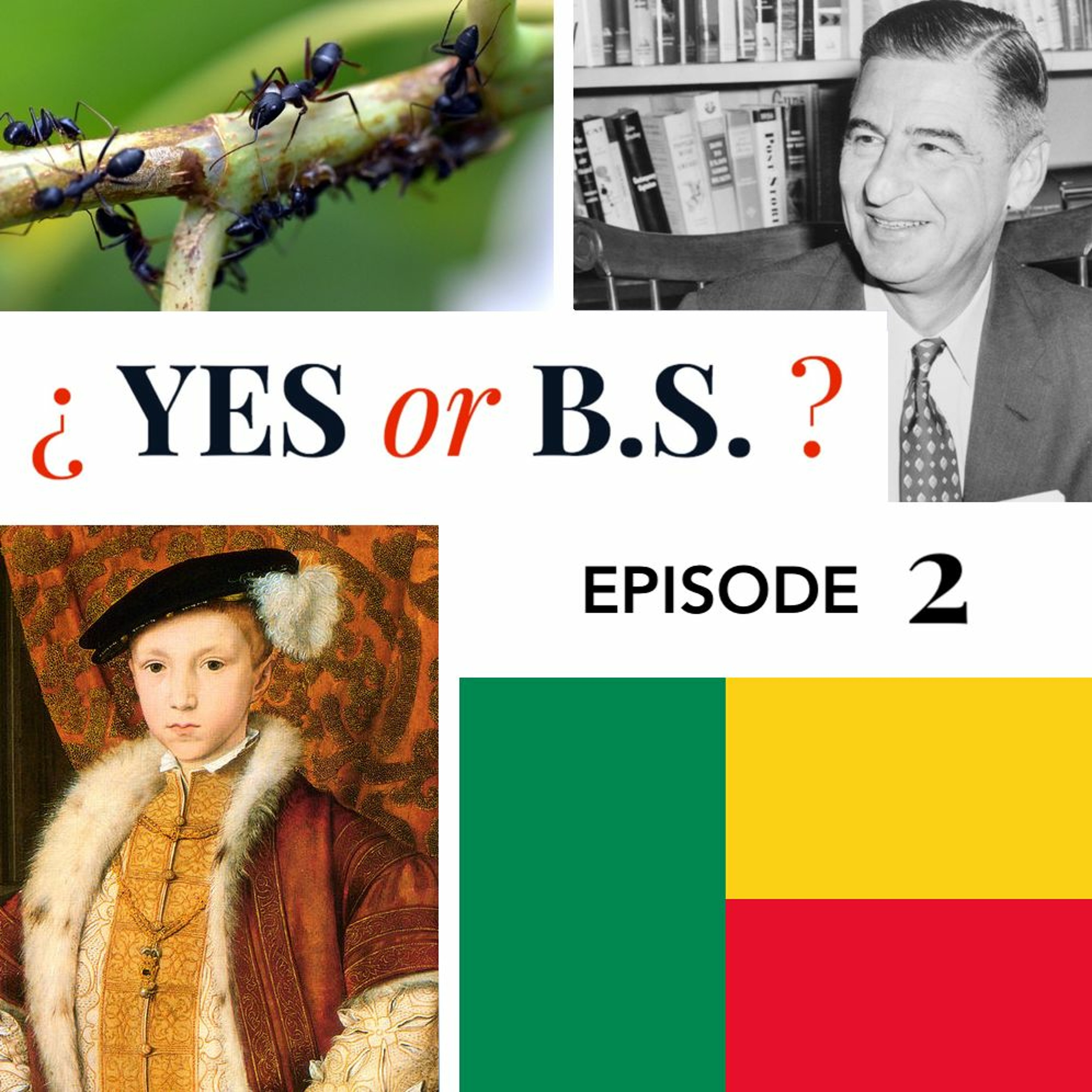 Episode 2: Does a single giant ant colony stretch across the entire Mediterranean?