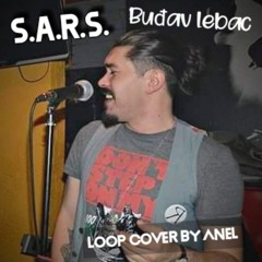 S.A.R.S. - Buđav lebac (Boss VE-20 live loop cover by Anel)