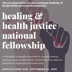 Announcement: Apply for the Freedom School Healing & Health Justice National Fellowship!