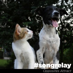 Opposites Attract #songrelay
